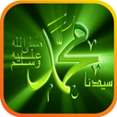 Sholawat Maulid Nabi APK