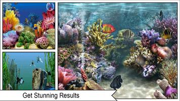3D Fish Aquarium Wallpaper HD syot layar 3