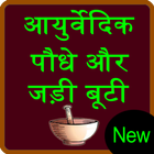 ayurvedic plants and herbs ikona