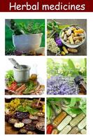 Herbal medicines plant poster