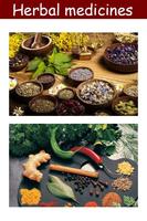 Herbal medicines plant 截图 1