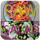 Raw Food Vegan - Salad icône