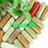 Medicinal Plants icono