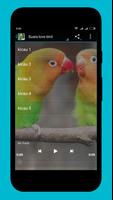 Master lovebird juara captura de pantalla 2