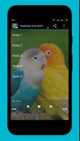 Master lovebird juara captura de pantalla 3