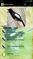 suara burung kacer Poster
