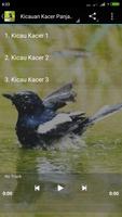 suara burung kacer captura de pantalla 2