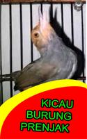 Kicau Burung Prenjak Sawah Gacor ảnh chụp màn hình 2