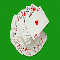 ”POWER BLACK JACK