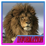 Hewan Karnivora di Dunia