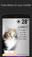 Weather Kittens poster