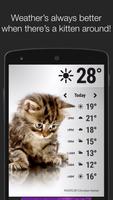 Weather Kittens capture d'écran 1