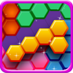 Hexa Puzzle Block Pro