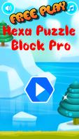 Hexa Puzzle Block Pro-poster