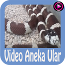 Video Aneka Ular APK