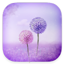 Purple Dandelion - One Sms, Free, Personalize APK
