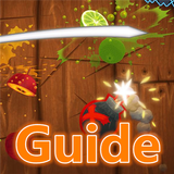 Top Tips For Fruit Ninja Free icône