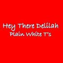 Hey There Delilah Lyrics APK