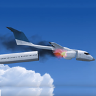 Fly Flight Crash Survival-icoon
