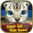Crazy Cat Rush Racing icône