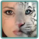 APK Искусство Фотошопа