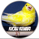 Kicau Kenari - Mp3 APK