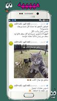 #هههههه captura de pantalla 2