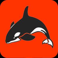 ORCA постер