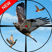 Gran Pájaros de la selva Hunter Juego de Aventura