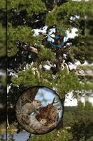 Mega Zoom Camera Pro تصوير الشاشة 2
