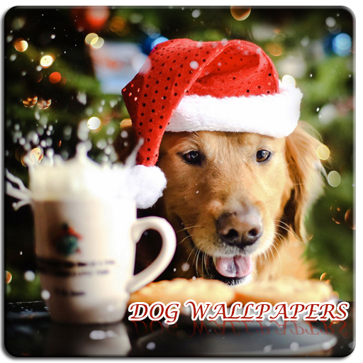 Dog Wallpapers