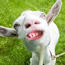 Crazy Goat Destruction Simulator 2018 APK