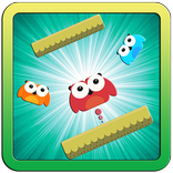 Owl The King of Night