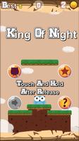 Owl The King of Night Affiche
