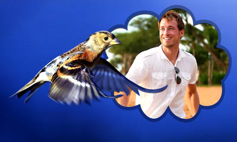 photo editor burung for Android - APK Download