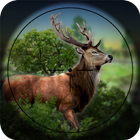 Forest Hunt ikona