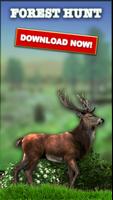 Forest Hunt Affiche