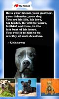Baby Pitbull Dog Wallpapers - Puppy Background App screenshot 3