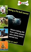 Baby Pitbull Dog Wallpapers - Puppy Background App screenshot 2