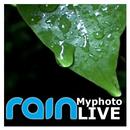 My Photo Rain Live - Photo Frame Editor APK