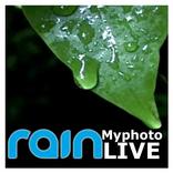 My Photo Rain Live - Photo Frame Editor