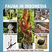 Mengenal Fauna Indonesia