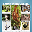 Mengenal Fauna Indonesia APK