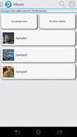 Photo Organizer Affiche