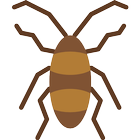 Anti Cucarachas icono