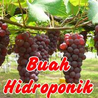 Aneka Buah Hidroponik capture d'écran 2