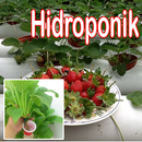 Tanaman hidroponik APK