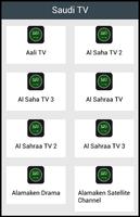 Saudi TV Plakat