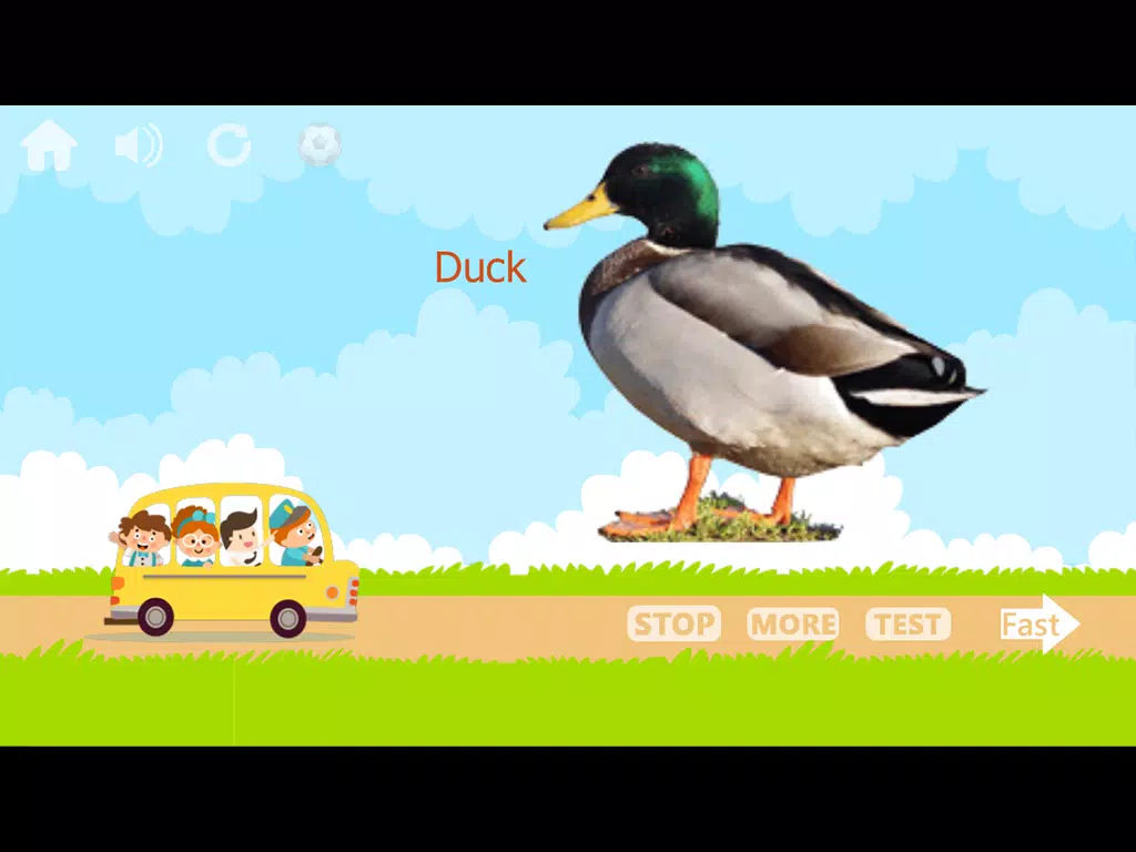 100 Animals and Birds for kids APK for Android Download