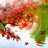 Autumn Leaves icône